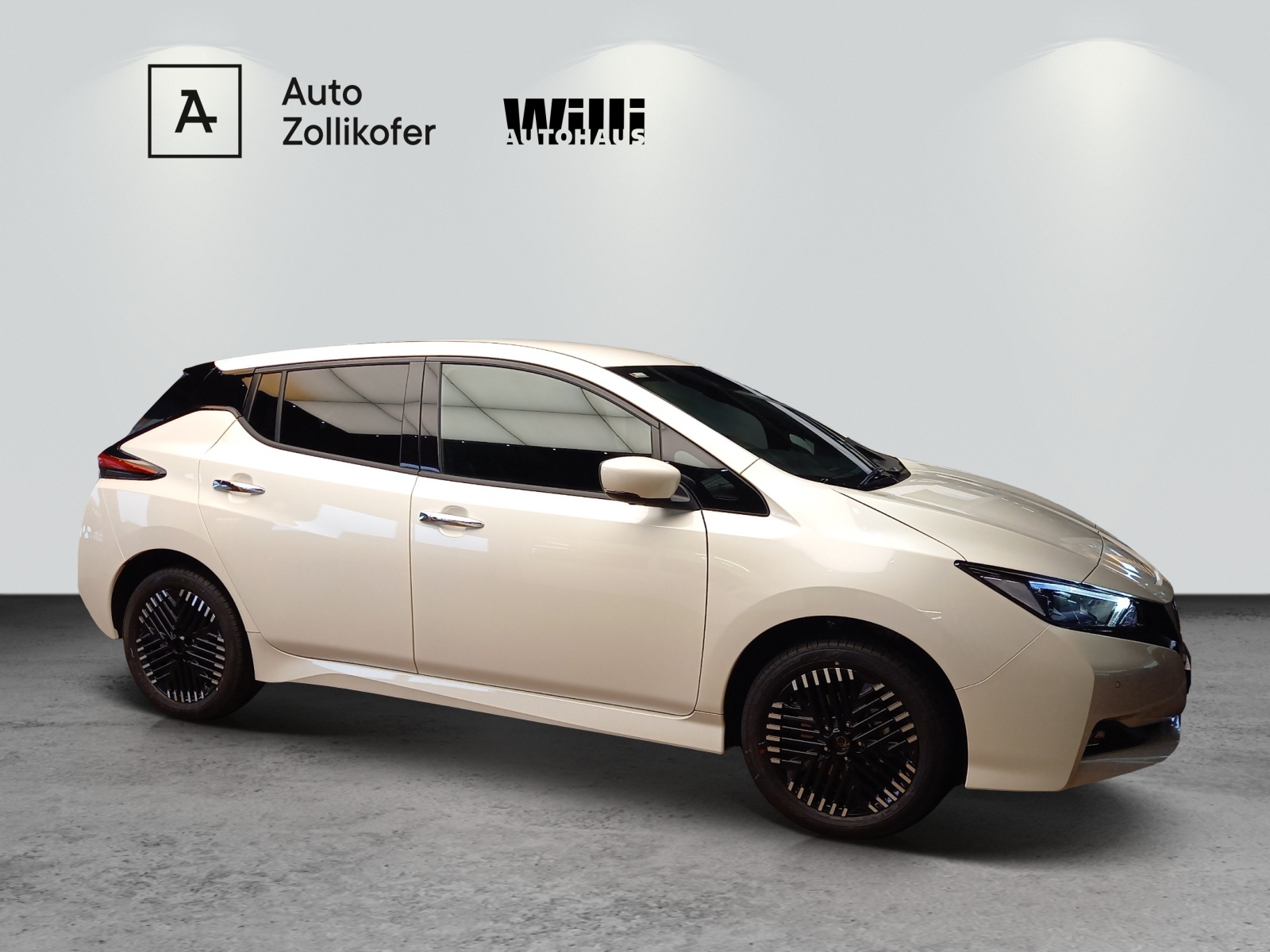 Nissan Leaf e- Tekna 59 kWh 217 PS